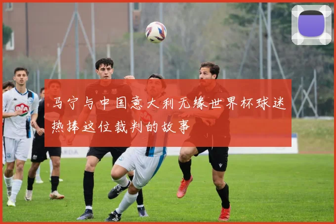 马宁与中国意大利无缘世界杯球迷热捧这位裁判的故事