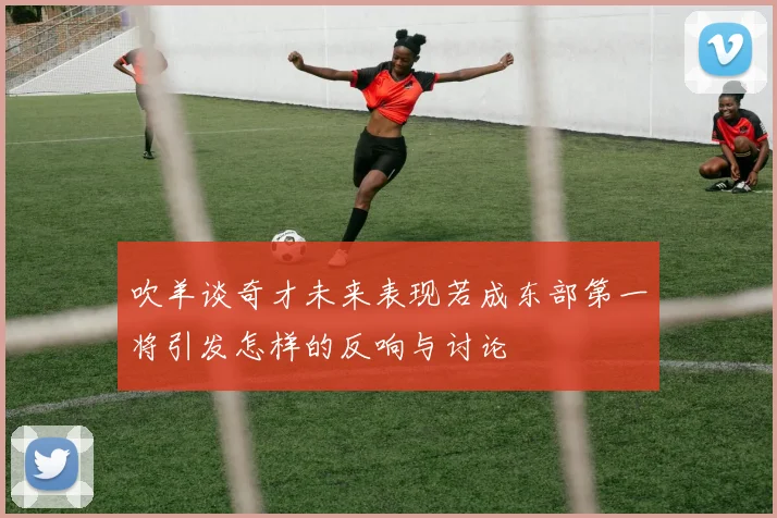 吹羊谈奇才未来表现若成东部第一将引发怎样的反响与讨论